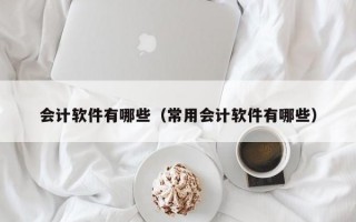 会计软件有哪些（常用会计软件有哪些）