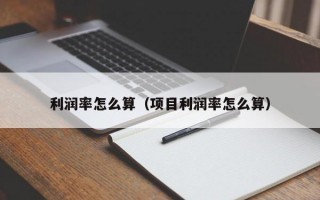 利润率怎么算（项目利润率怎么算）