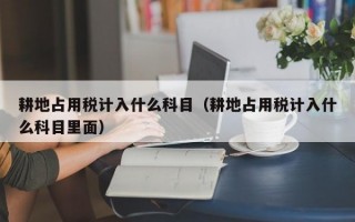 耕地占用税计入什么科目（耕地占用税计入什么科目里面）