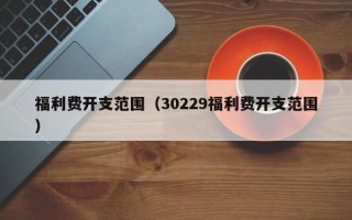 福利费开支范围（30229福利费开支范围）