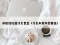 伞形信托是什么意思（什么叫做伞型基金）