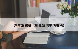 汽车消费税（新能源汽车消费税）