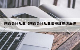 陕西会计从业（陕西会计从业资格证查询系统）