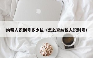 纳税人识别号多少位（怎么查纳税人识别号）