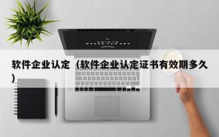 软件企业认定（软件企业认定证书有效期多久）