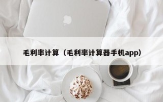 毛利率计算（毛利率计算器手机app）