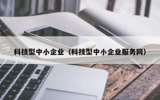 科技型中小企业（科技型中小企业服务网）