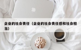 企业的社会责任（企业的社会责任感和社会担当）