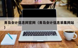 青岛会计信息网官网（青岛会计信息采集网站）