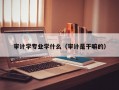 审计学专业学什么（审计是干嘛的）