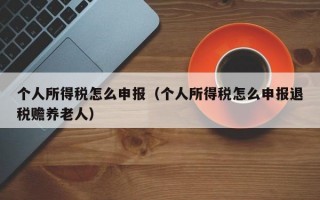 个人所得税怎么申报（个人所得税怎么申报退税赡养老人）