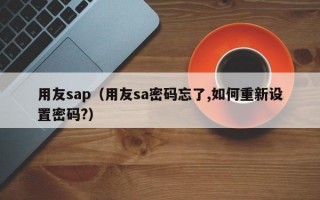 用友sap（用友sa密码忘了,如何重新设置密码?）