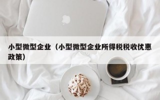 小型微型企业（小型微型企业所得税税收优惠政策）