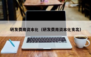 研发费用资本化（研发费用资本化支出）