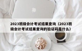 2023初级会计考试结果查询（2023初级会计考试结果查询的验证码是什么）