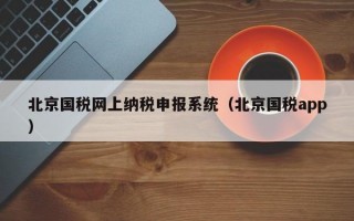 北京国税网上纳税申报系统（北京国税app）