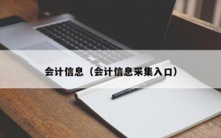 会计信息（会计信息采集入口）