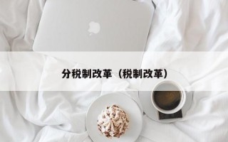 分税制改革（税制改革）