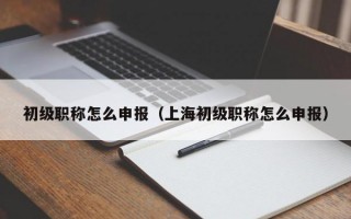 初级职称怎么申报（上海初级职称怎么申报）