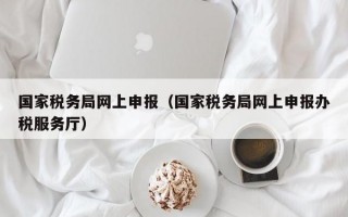 国家税务局网上申报（国家税务局网上申报办税服务厅）