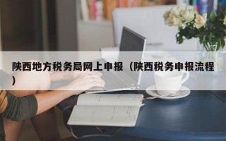 陕西地方税务局网上申报（陕西税务申报流程）