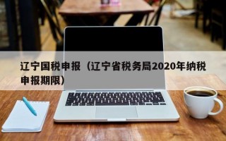 辽宁国税申报（辽宁省税务局2020年纳税申报期限）