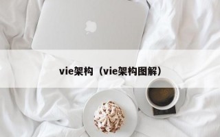 vie架构（vie架构图解）