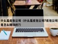 什么是皮包公司（什么是皮包公司?皮包公司是怎么赚钱的?）