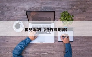 税务筹划（税务筹划师）