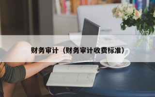 财务审计（财务审计收费标准）