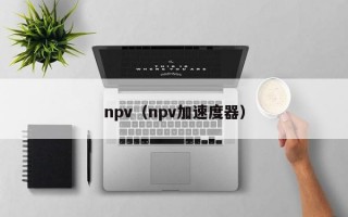 npv（npv加速度器）