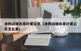 净利润增长率计算公式（净利润增长率计算公式怎么算）