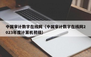 中国审计数字在线网（中国审计数字在线网2023年度计算机初级）