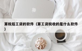 算税后工资的软件（算工资税收的是什么软件）