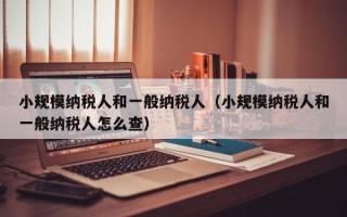 小规模纳税人和一般纳税人（小规模纳税人和一般纳税人怎么查）