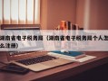 湖南省电子税务局（湖南省电子税务局个人怎么注册）