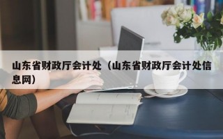 山东省财政厅会计处（山东省财政厅会计处信息网）