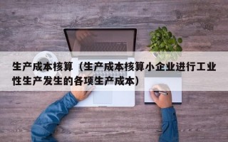 生产成本核算（生产成本核算小企业进行工业性生产发生的各项生产成本）