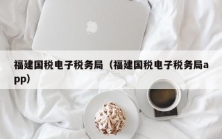 福建国税电子税务局（福建国税电子税务局app）