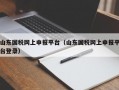 山东国税网上申报平台（山东国税网上申报平台登录）