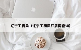 辽宁工商局（辽宁工商局红盾网查询）