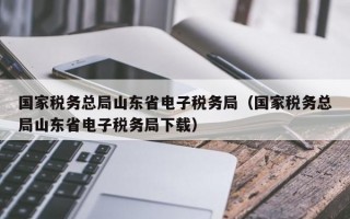 国家税务总局山东省电子税务局（国家税务总局山东省电子税务局下载）