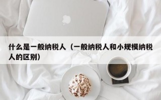 什么是一般纳税人（一般纳税人和小规模纳税人的区别）