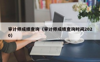 审计师成绩查询（审计师成绩查询时间2020）