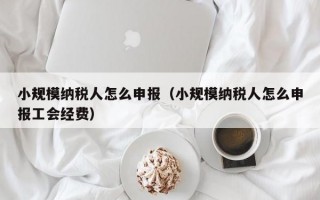 小规模纳税人怎么申报（小规模纳税人怎么申报工会经费）