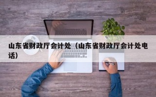 山东省财政厅会计处（山东省财政厅会计处电话）