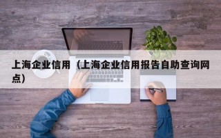 上海企业信用（上海企业信用报告自助查询网点）