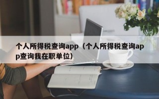 个人所得税查询app（个人所得税查询app查询我在职单位）