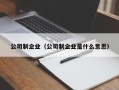 公司制企业（公司制企业是什么意思）