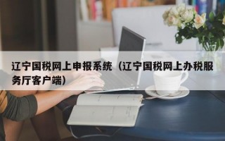 辽宁国税网上申报系统（辽宁国税网上办税服务厅客户端）